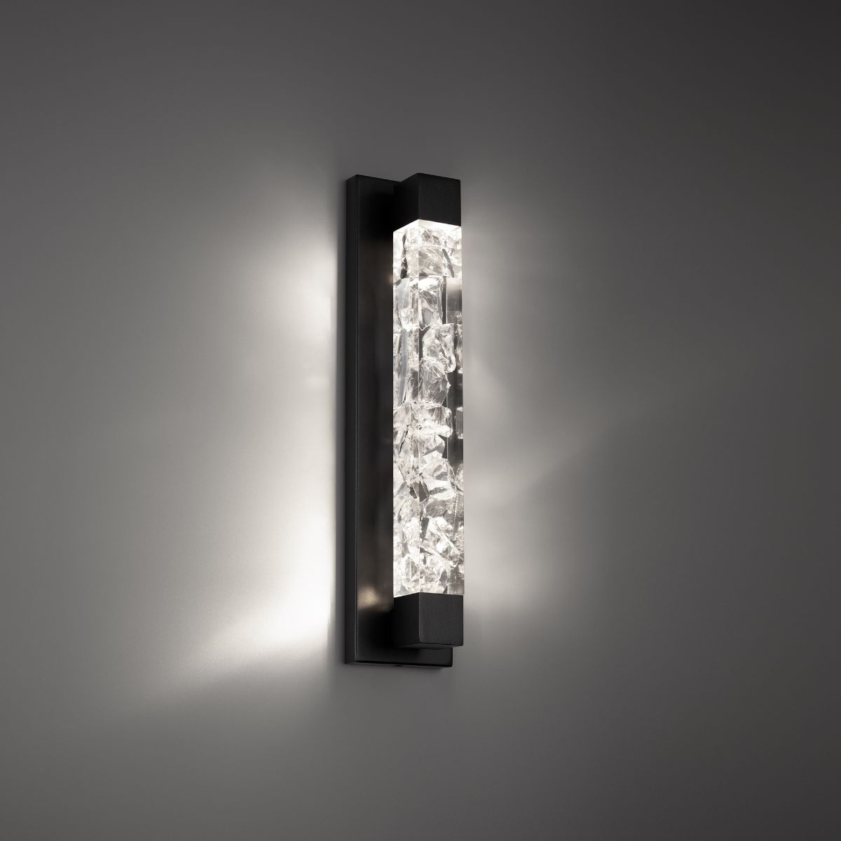 Terra 20" LED Vanity Light, Black Finish - Bees Lighting