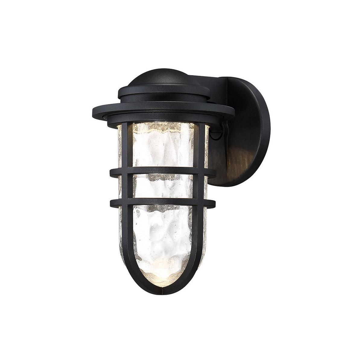Steampunk 9 in. LED Outdoor Wall Sconce 3000K