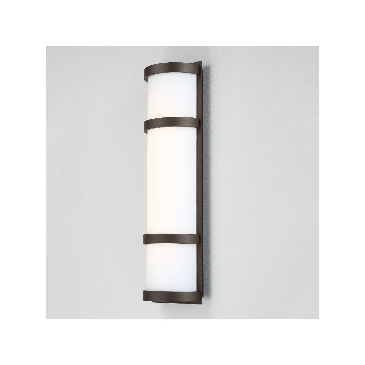 Latitude 20 in. LED Outdoor Wall Sconce 3000K