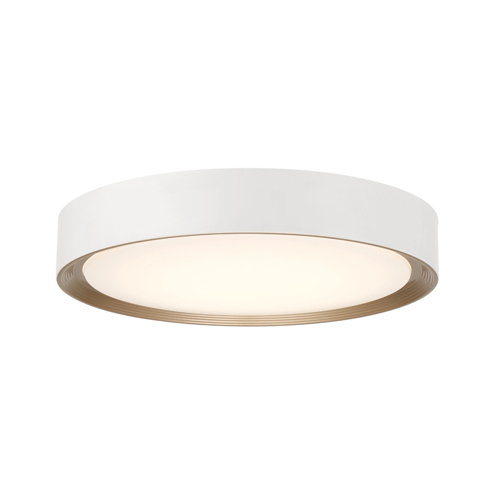 Malaga Color Selectable 20" LED Flush Mount, Matte White Finish