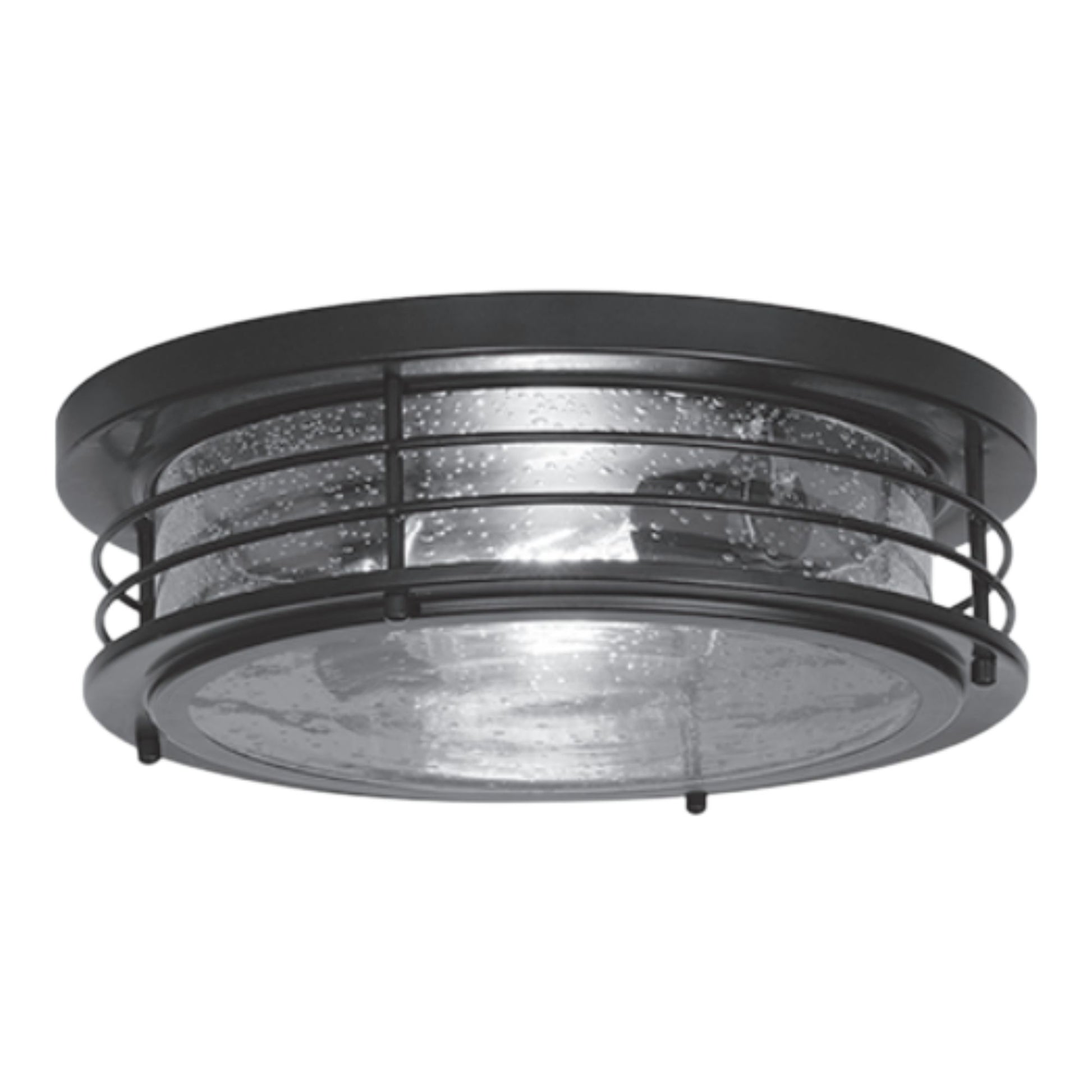 Archer 13" 2-Light Flush Mount, Black Finish - Bees Lighting