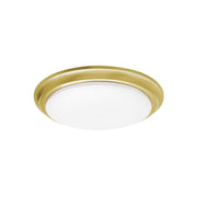 Baron 12" LED Flush Mount, Satin Brass Finish
