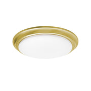 Baron 14" LED Flush Mount, Satin Brass Finish