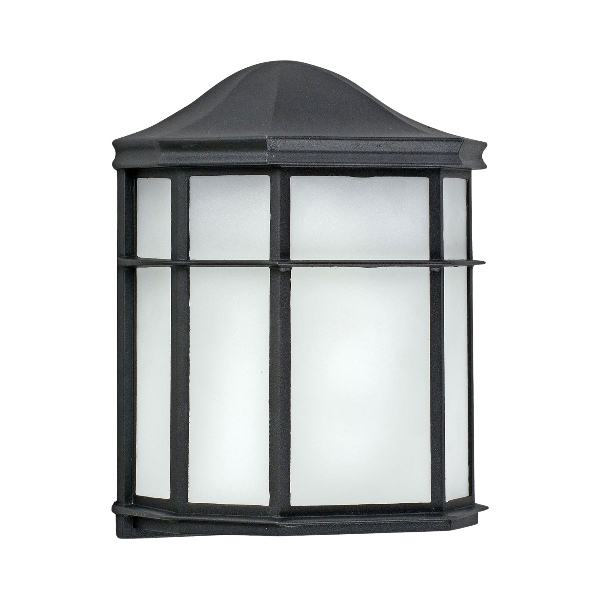 Bristol 10 in. LED Outdoor Wall Light 5000K Black Finish - Bees Lighting