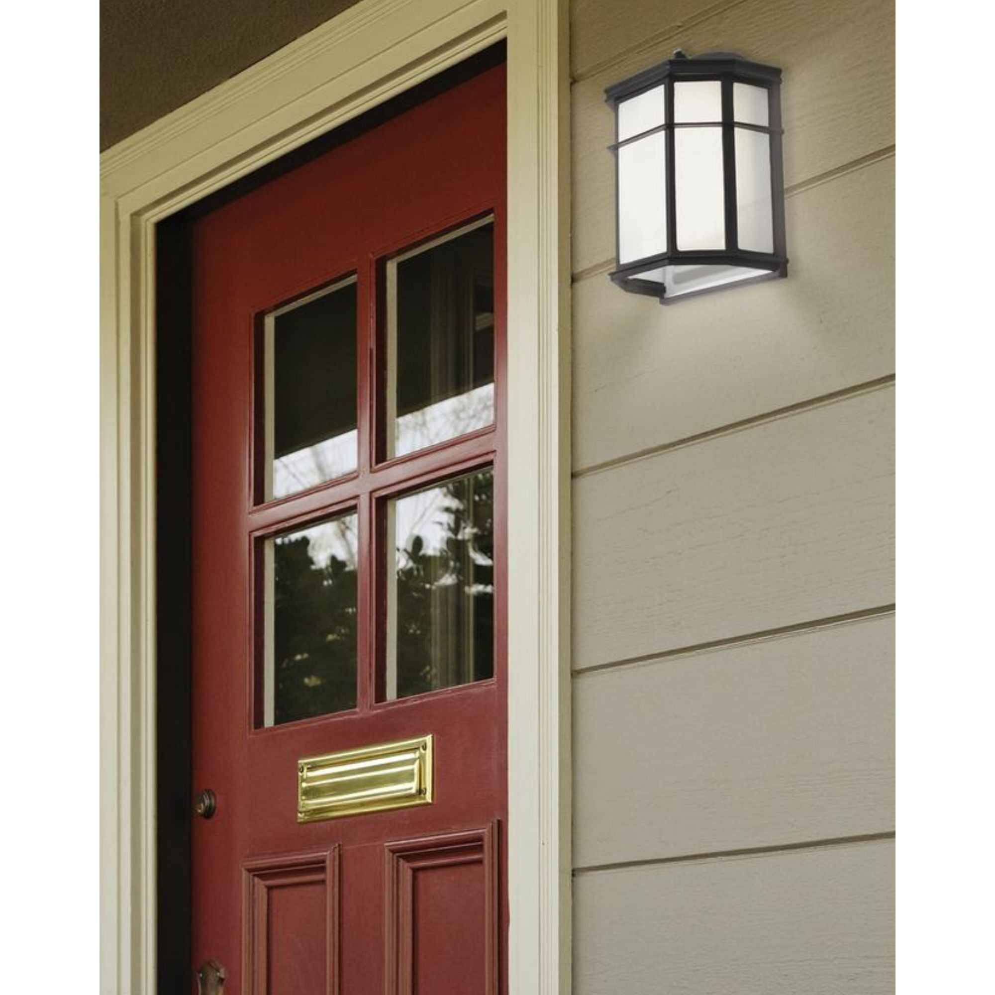 Bristol 10 in. LED Outdoor Wall Light 5000K Black Finish - Bees Lighting
