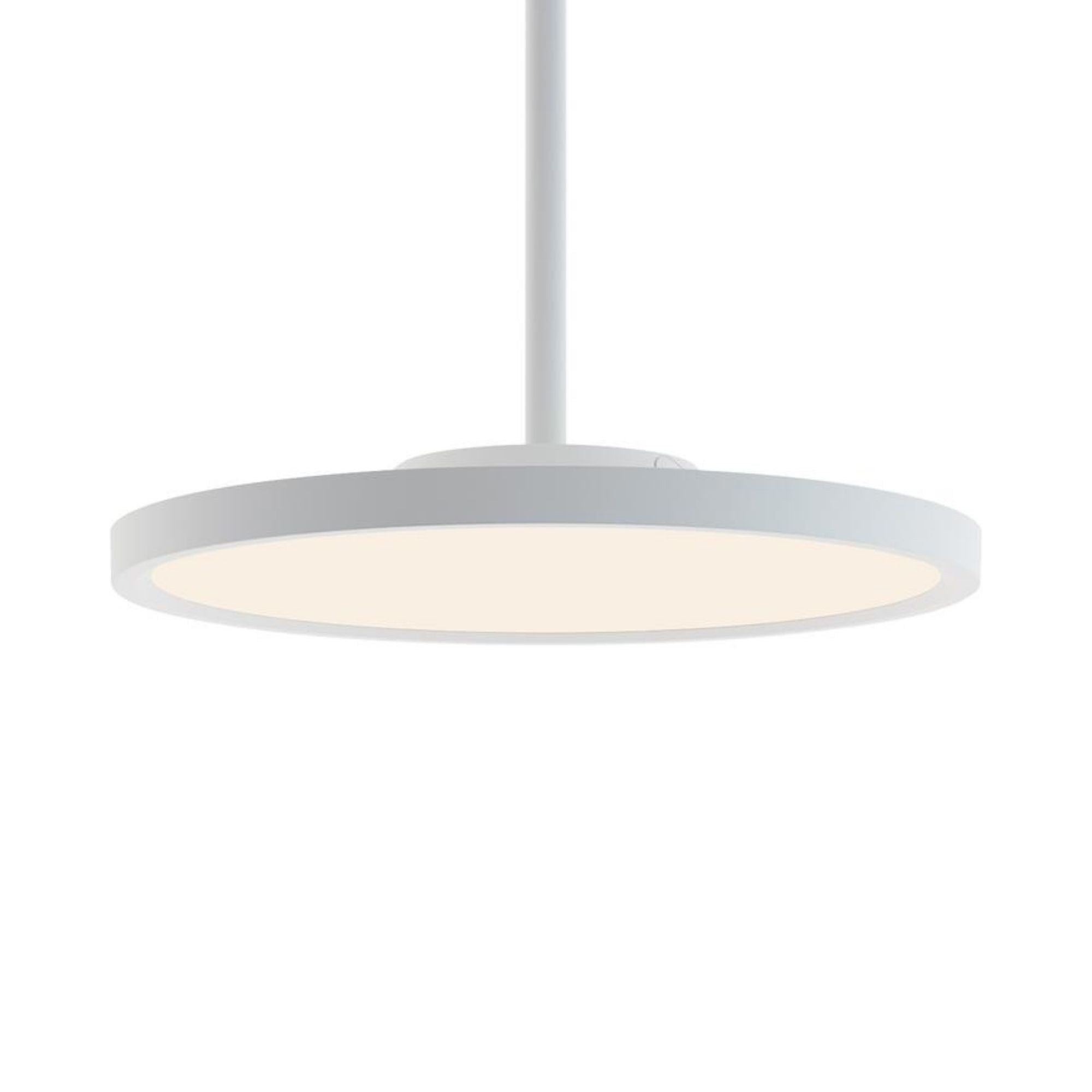 EGRP LED Pendant Light - Bees Lighting