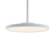 EGRP LED Pendant Light - Bees Lighting