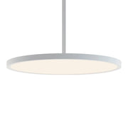 EGRP LED Pendant Light - Bees Lighting