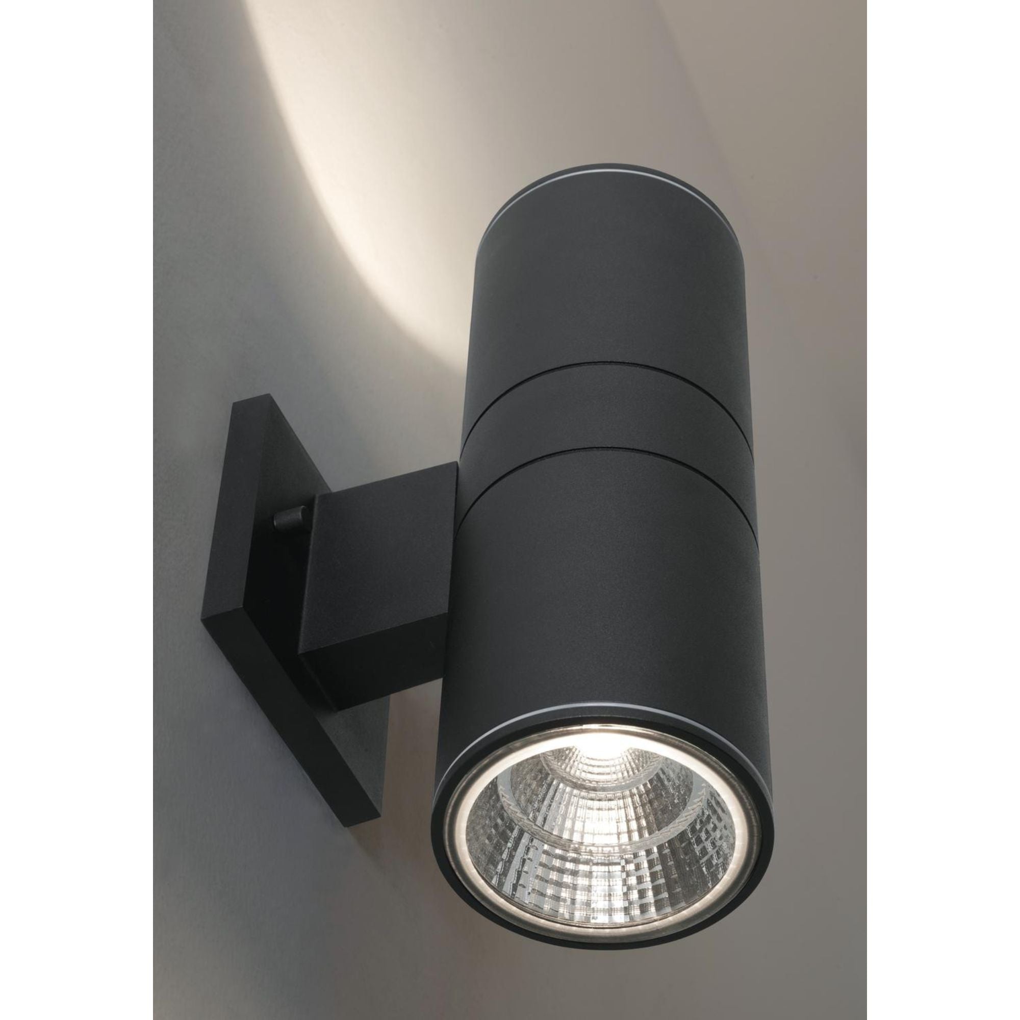 Everly 12 in. LED Outdoor Wall Light 120-277V, Selectable CCT Black - Bees Lighting