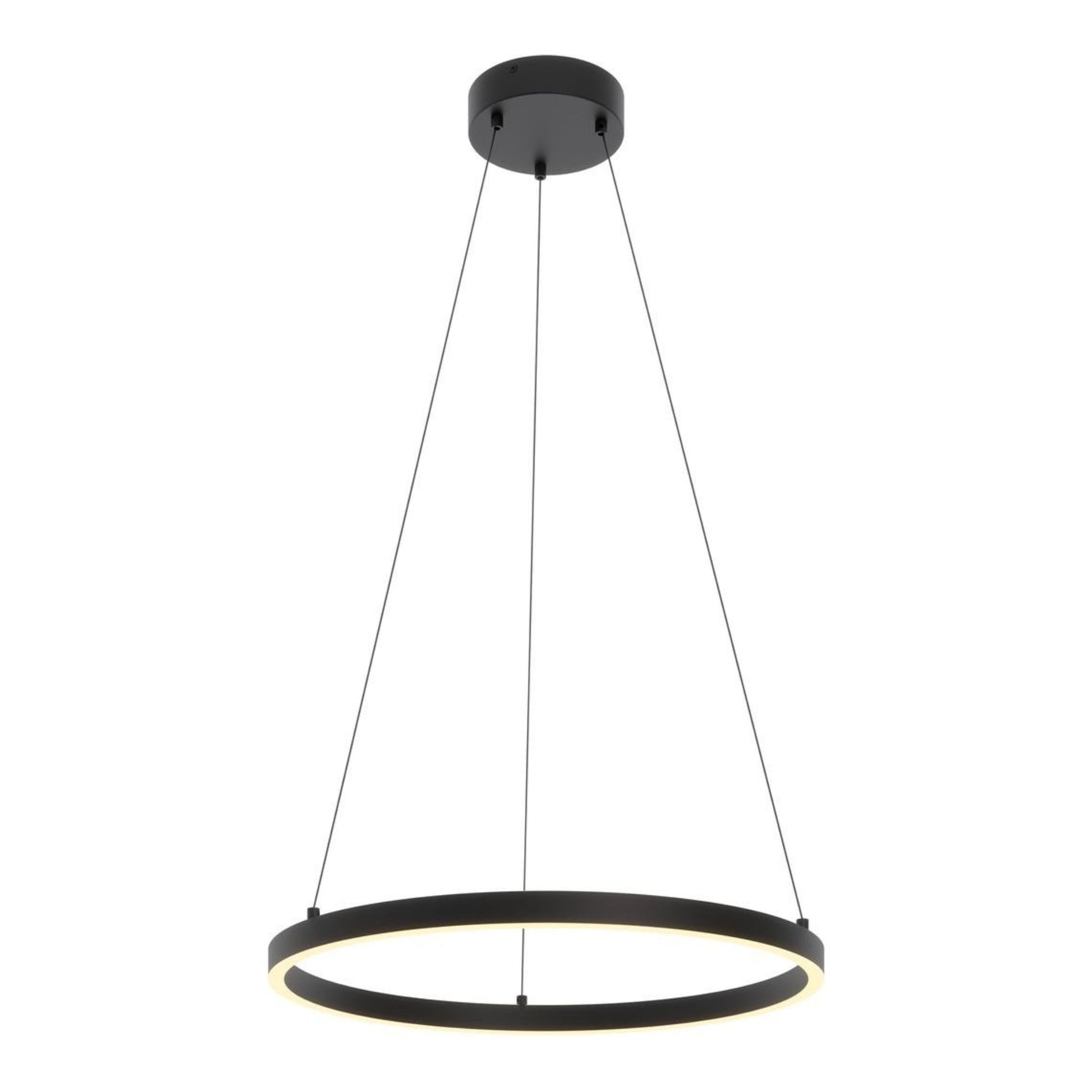 Glo 24" LED Pendant, Black Finish - Bees Lighting