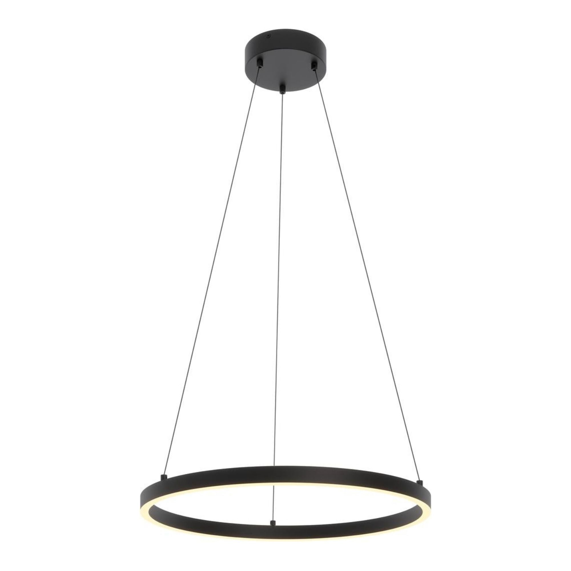 Glo 24" LED Pendant, Black Finish - Bees Lighting