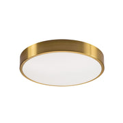 Octavia 14" LED Flush Mount, Satin Brass Finish