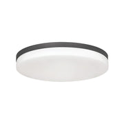 Oscar 19" LED Flush Mount, Satin Nickel Finish