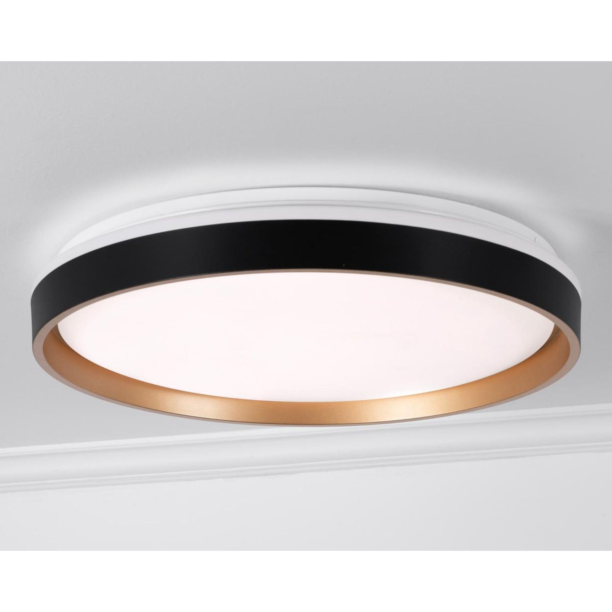 Rana 19'' LED Flush Mount Light, Black Finish - Bees Lighting