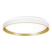 Rana LED Flush Mount Light - Bees Lighting