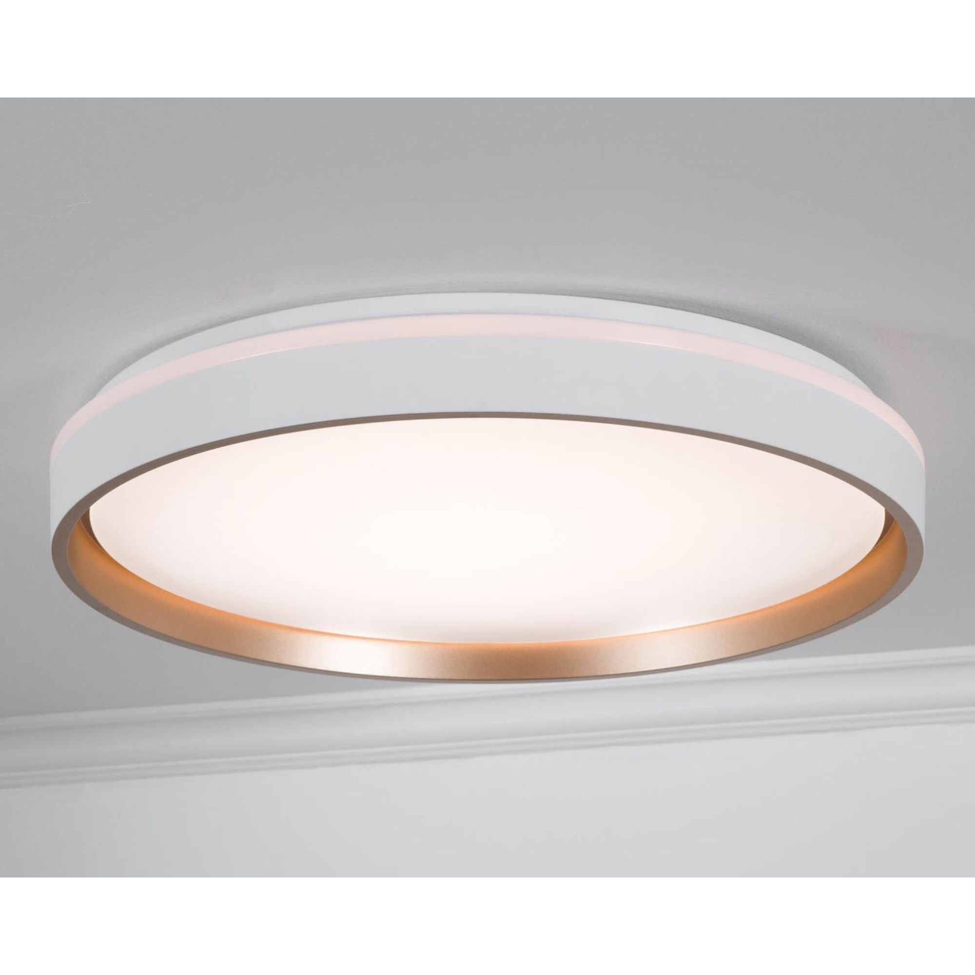 Rana 19'' LED Flush Mount Light, White Finish - Bees Lighting