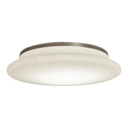 Sutton 18" LED Selectable CCT Flush Mount Light Satin Nickel - Bees Lighting