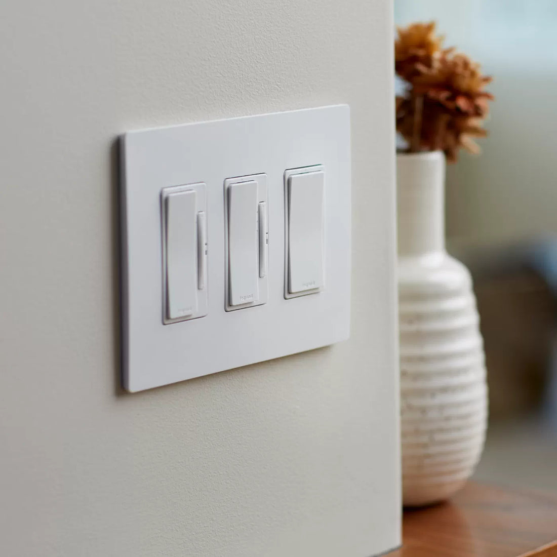 A Comprehensive Guide to Light Switches