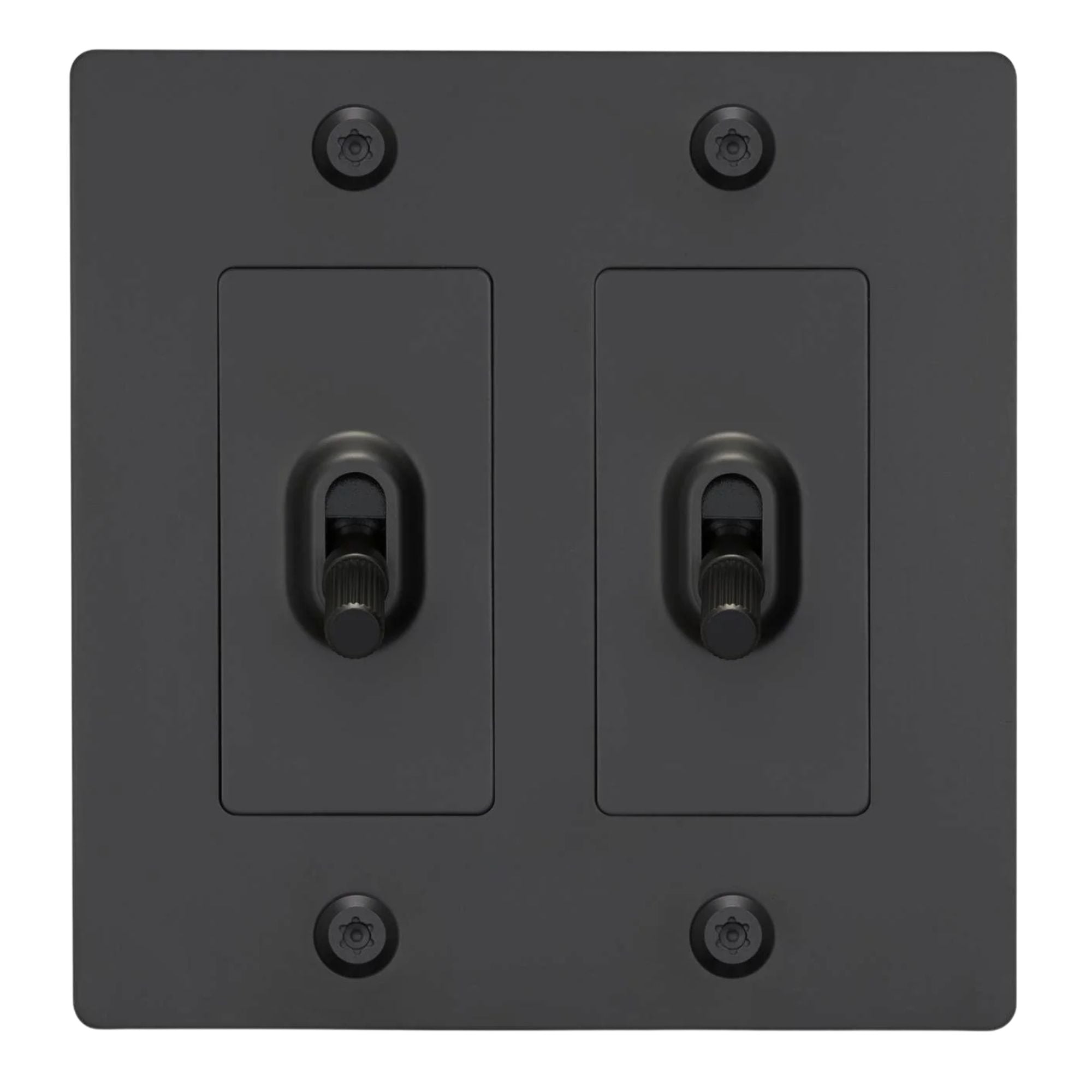 Buster + Punch NTG-024046 Linear 2-Gang Toggle Switch Without Logo, 15A, Single Pole/3-Way, Black