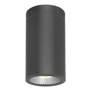 CD34 LED Surface/Pendant Mount Cylinder Selectable CCT - Bees Lighting