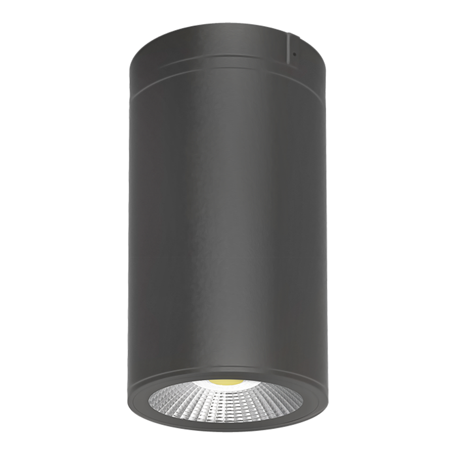 CD34 LED Surface/Pendant Mount Cylinder Selectable CCT - Bees Lighting
