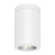CD34 LED Surface/Pendant Mount Cylinder Selectable CCT - Bees Lighting