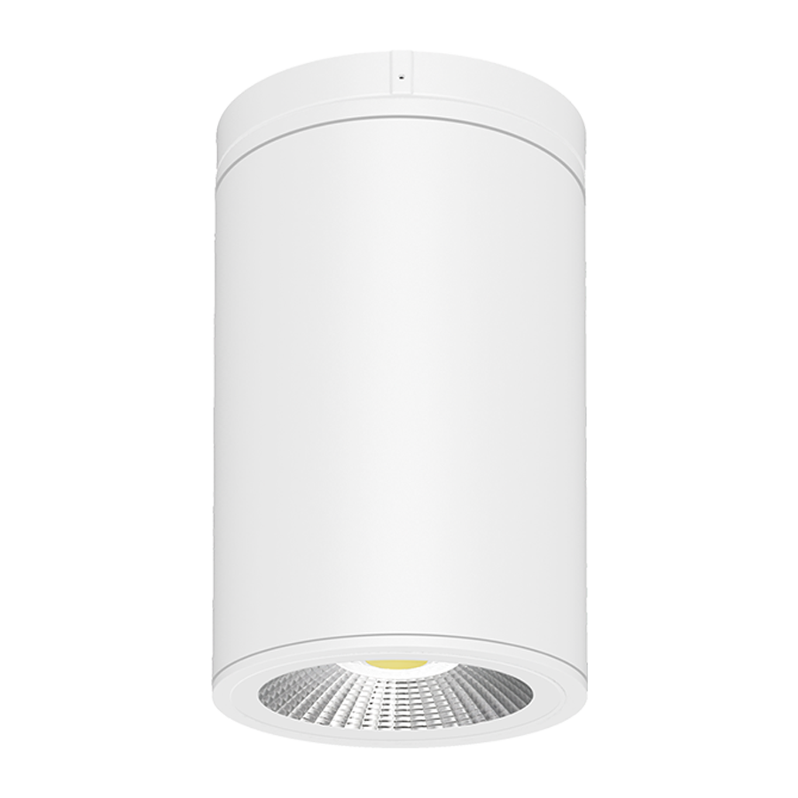 CD34 LED Surface/Pendant Mount Cylinder Selectable CCT - Bees Lighting