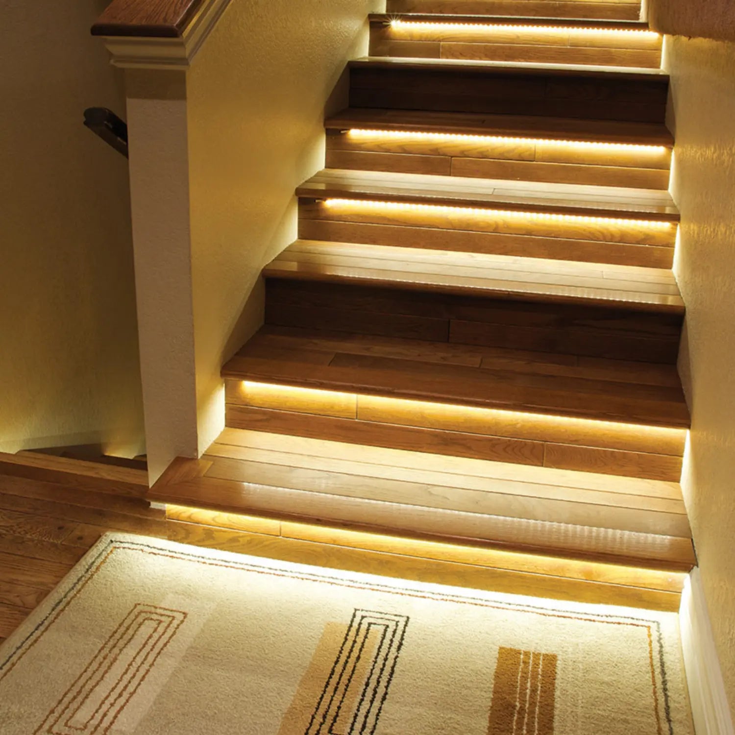 collection-image-cob-led-strip-lights - Bees Lighting