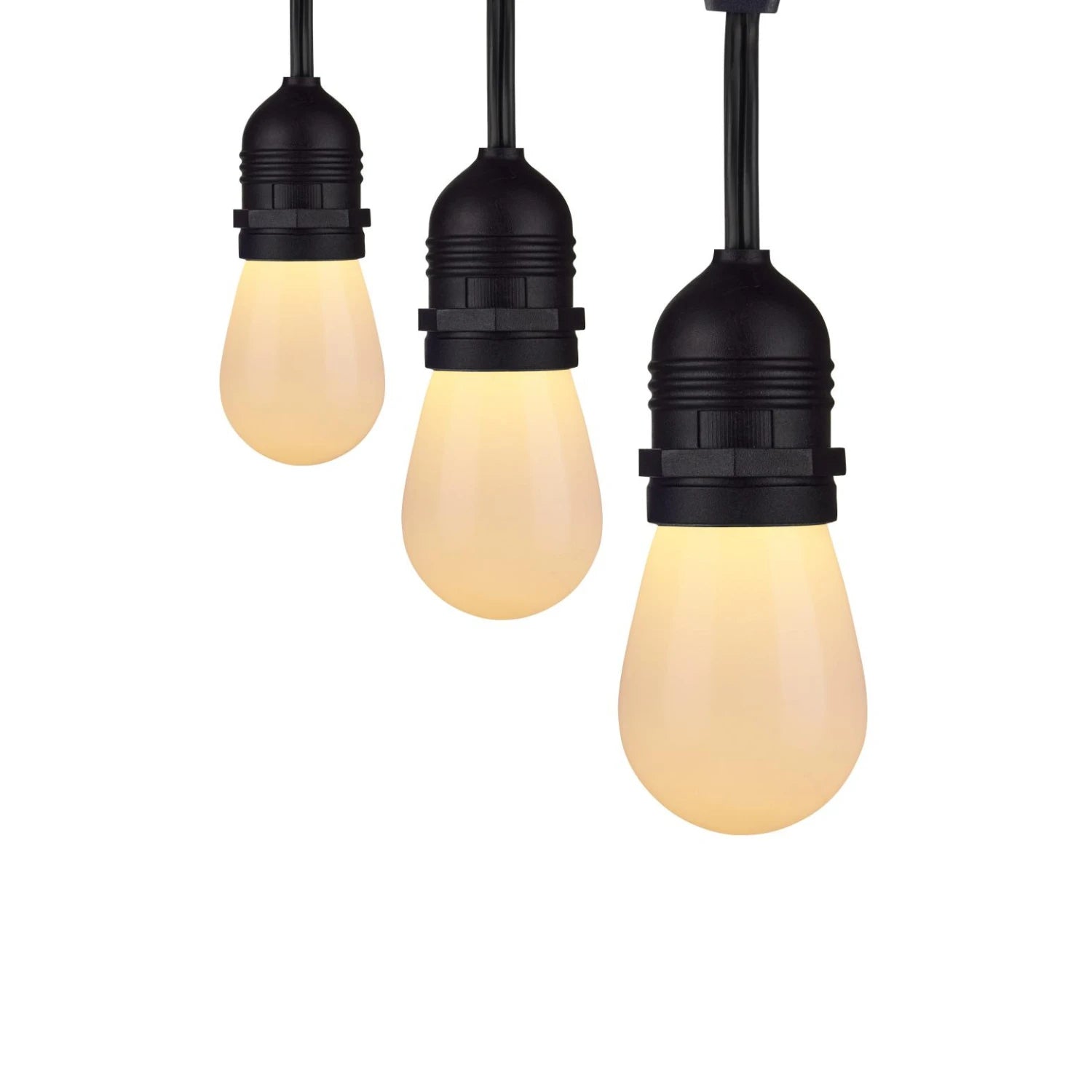 Bees Lighting