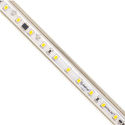 Diode LED Infiniline Basics 164ft LED Tape Light, IP65, 2700K, 289 Lumens/ft, 120V