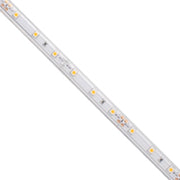 BLAZE, 100 ft., LED Tape Light, IP65, 2700K, 107 Lm/ft., 12V