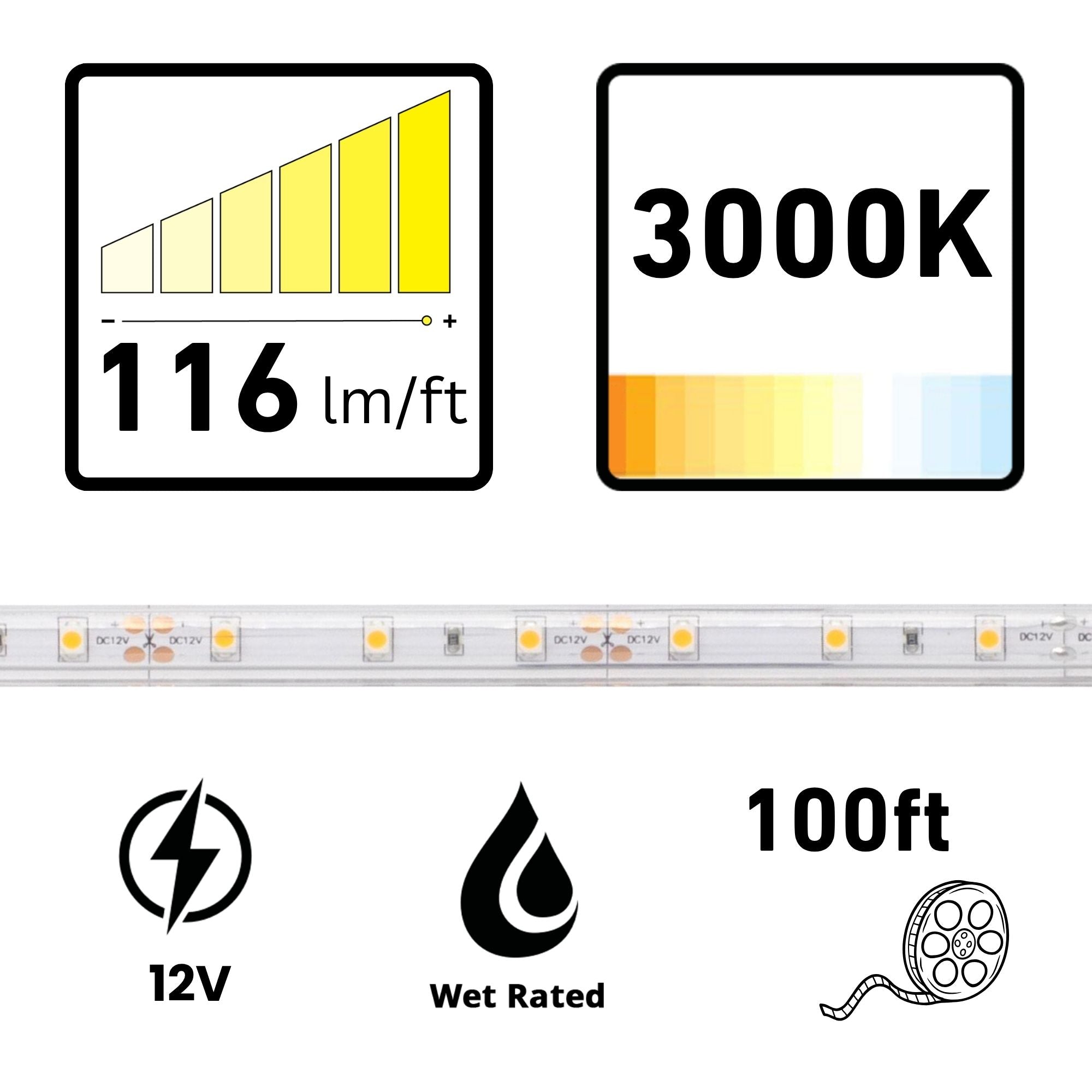 Diode LED BLAZE 100ft LED Tape Light, IP65 Wet, 3000K, 116 Lumens/ft, 12V