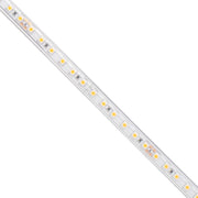 BLAZE, 100 ft., LED Tape Light, IP65, 2700K, 206 Lm/ft., 12V