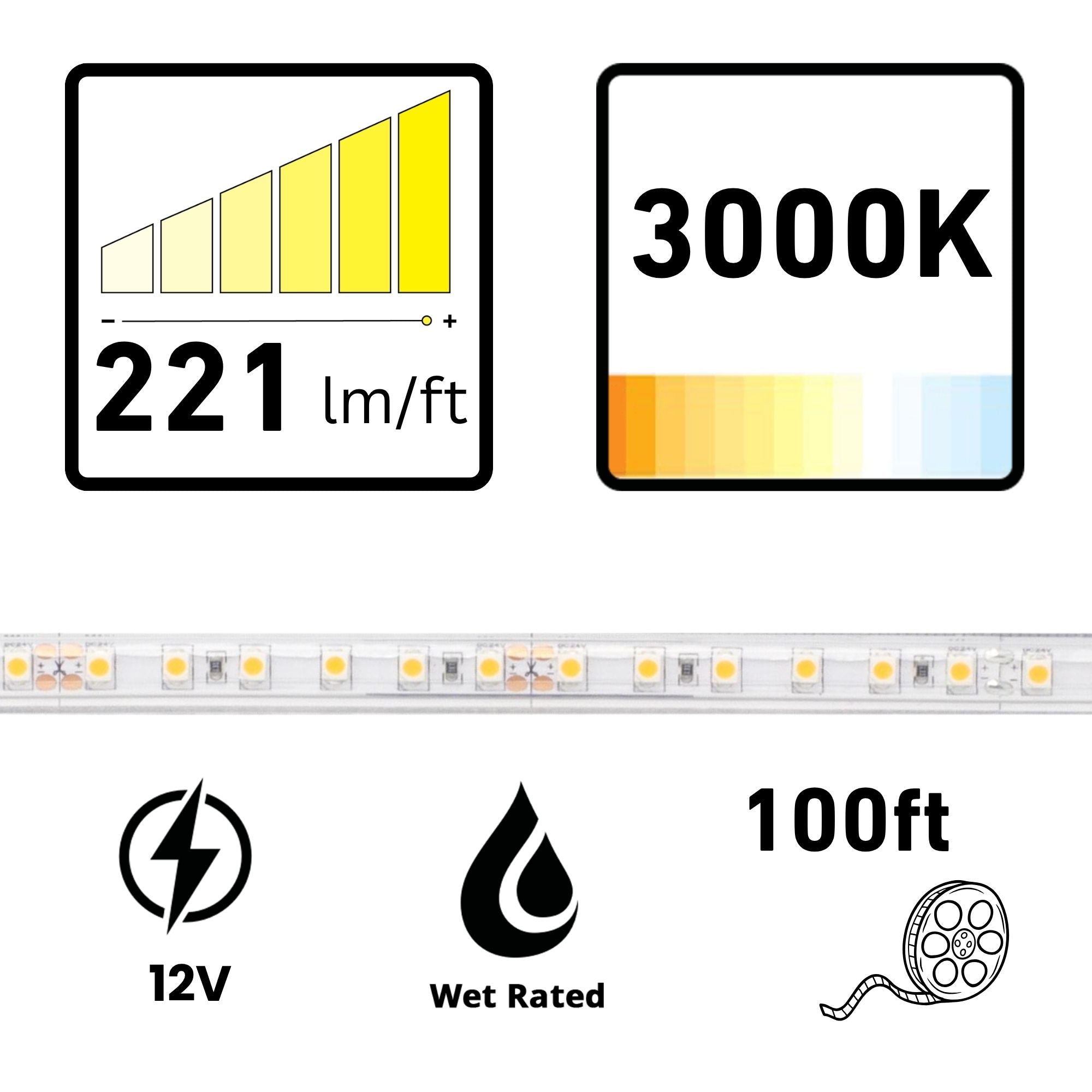 BLAZE 100 ft. LED Tape Light, IP65, 3000K, 221 Lumens/ft, 12V