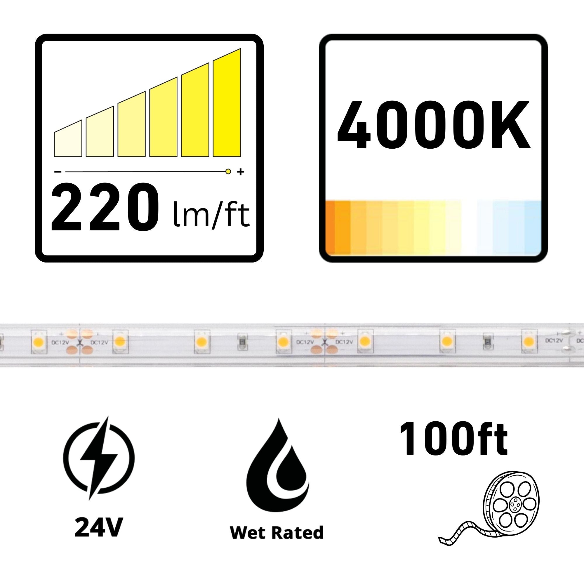 Diode LED BLAZE 100 ft LED Tape Light, IP65, 4000K, 220 Lm/ft, 24V