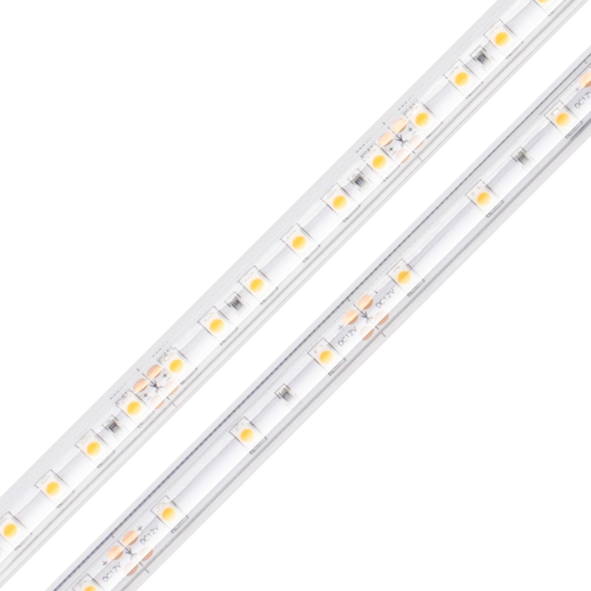 BLAZE, 16 ft., LED Tape Light, IP65, 5000K, 114 Lm/ft, 24V