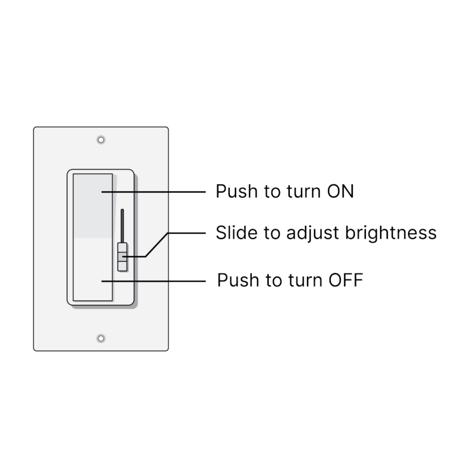 SWITCHEX+R1 40 Watts, 12VDC LED Driver and Dimmer Switch - Bees Lighting