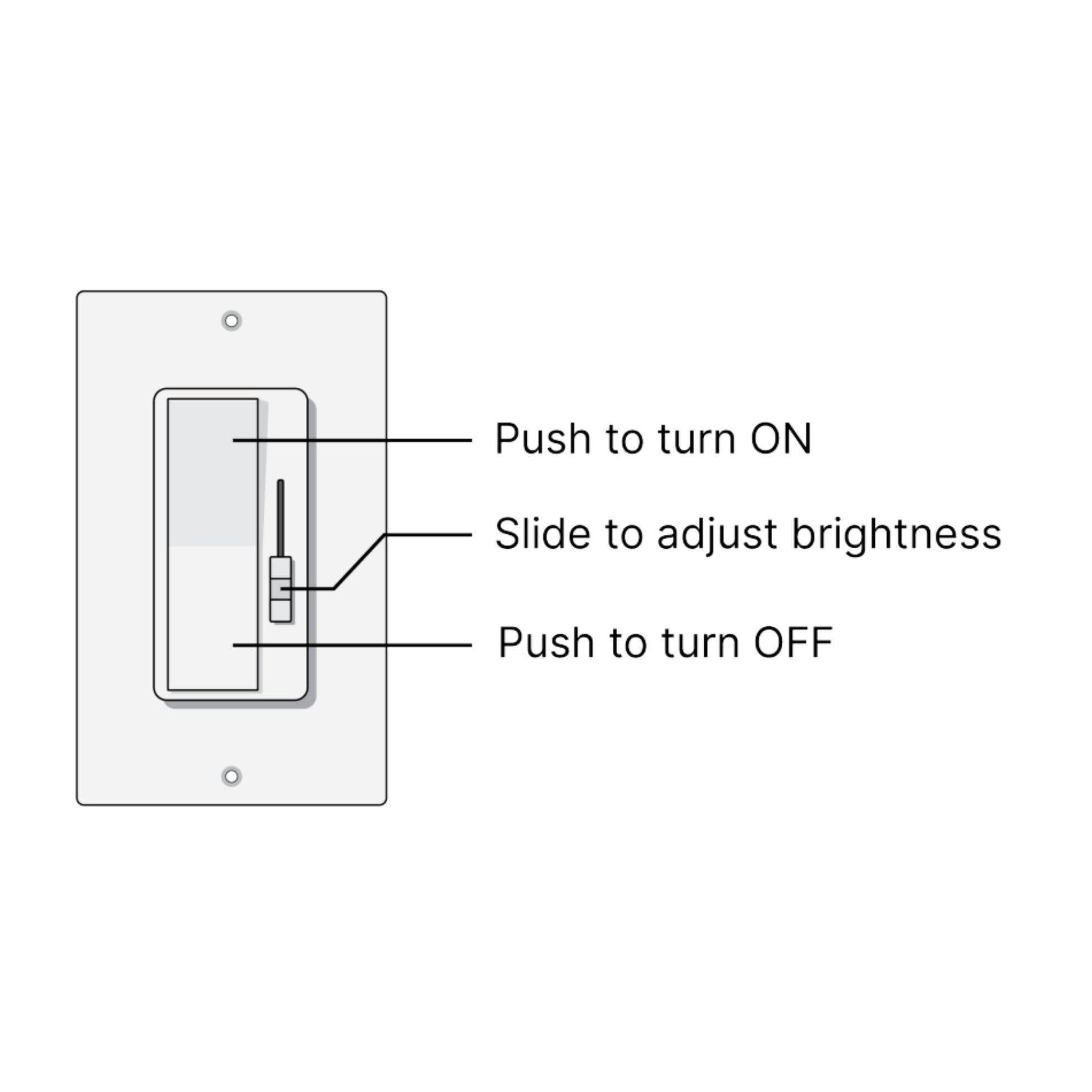 SWITCHEX+R1 96 Watts, 24VDC LED Driver and Dimmer Switch - Bees Lighting
