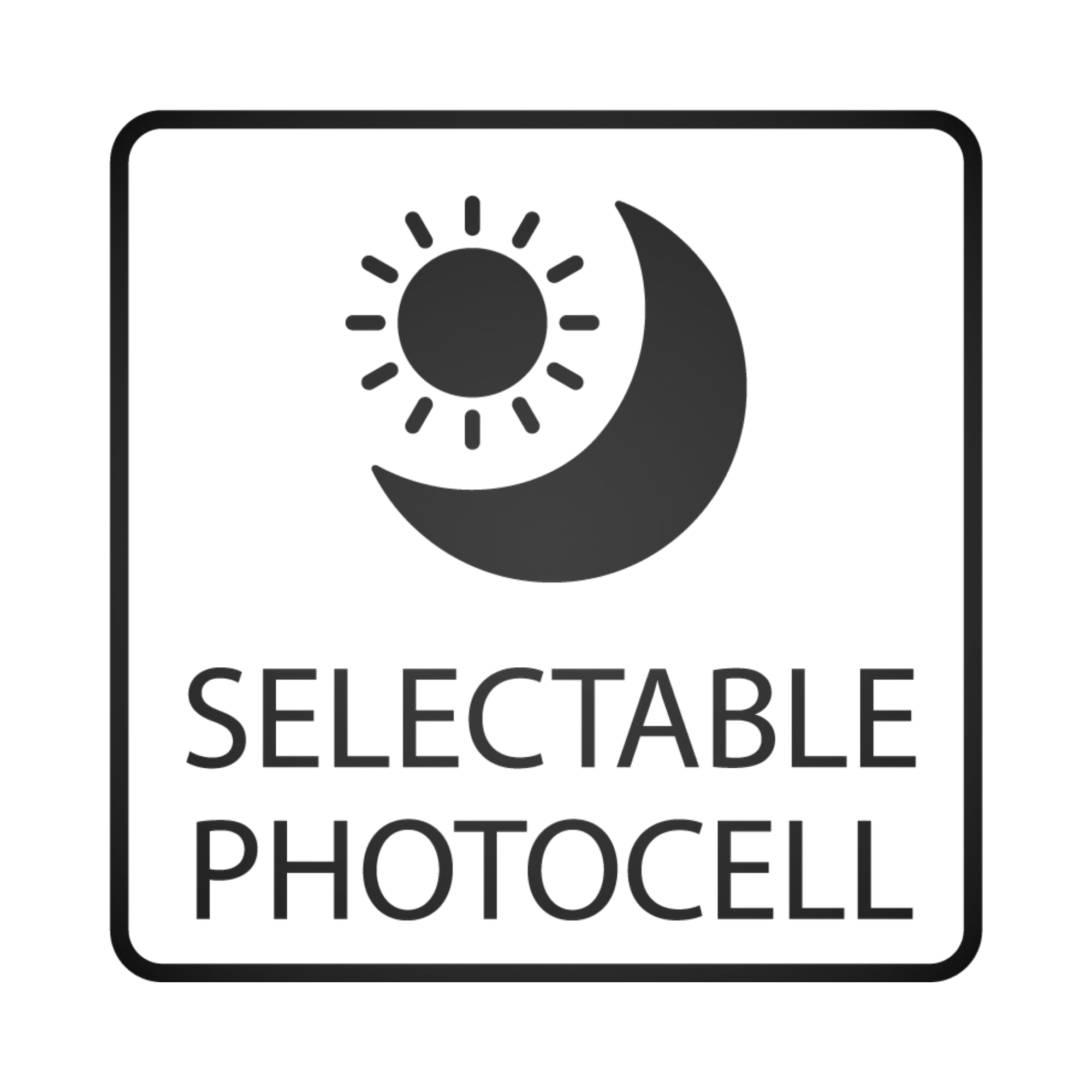 selectable photo icon swatch - Bees Lighting
