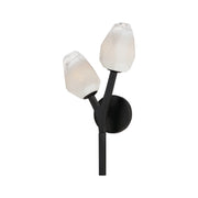 Blossom 19" 2-Light LED Wall Sconce, Black Finish