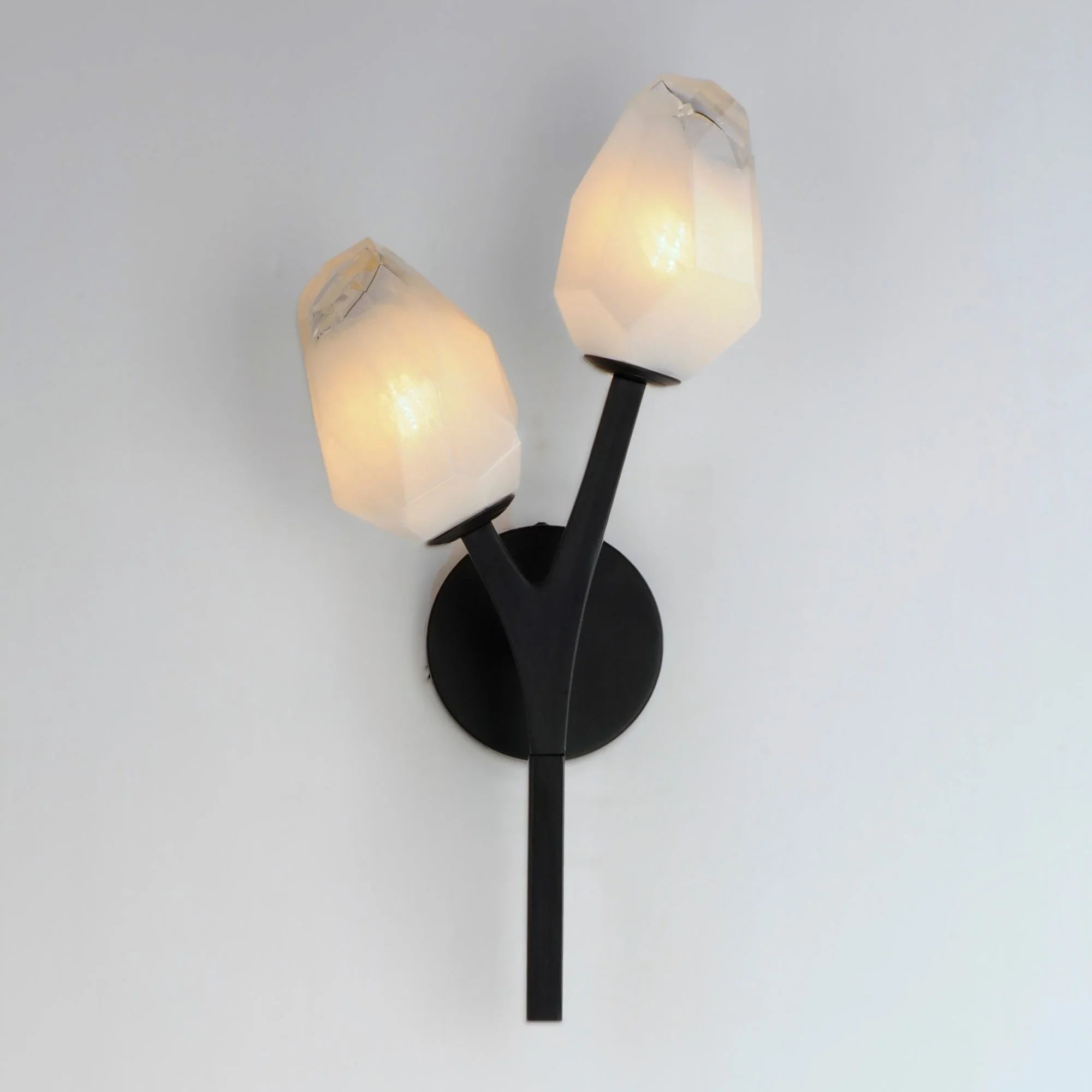 Blossom 19" 2-Light LED Wall Sconce, Black Finish