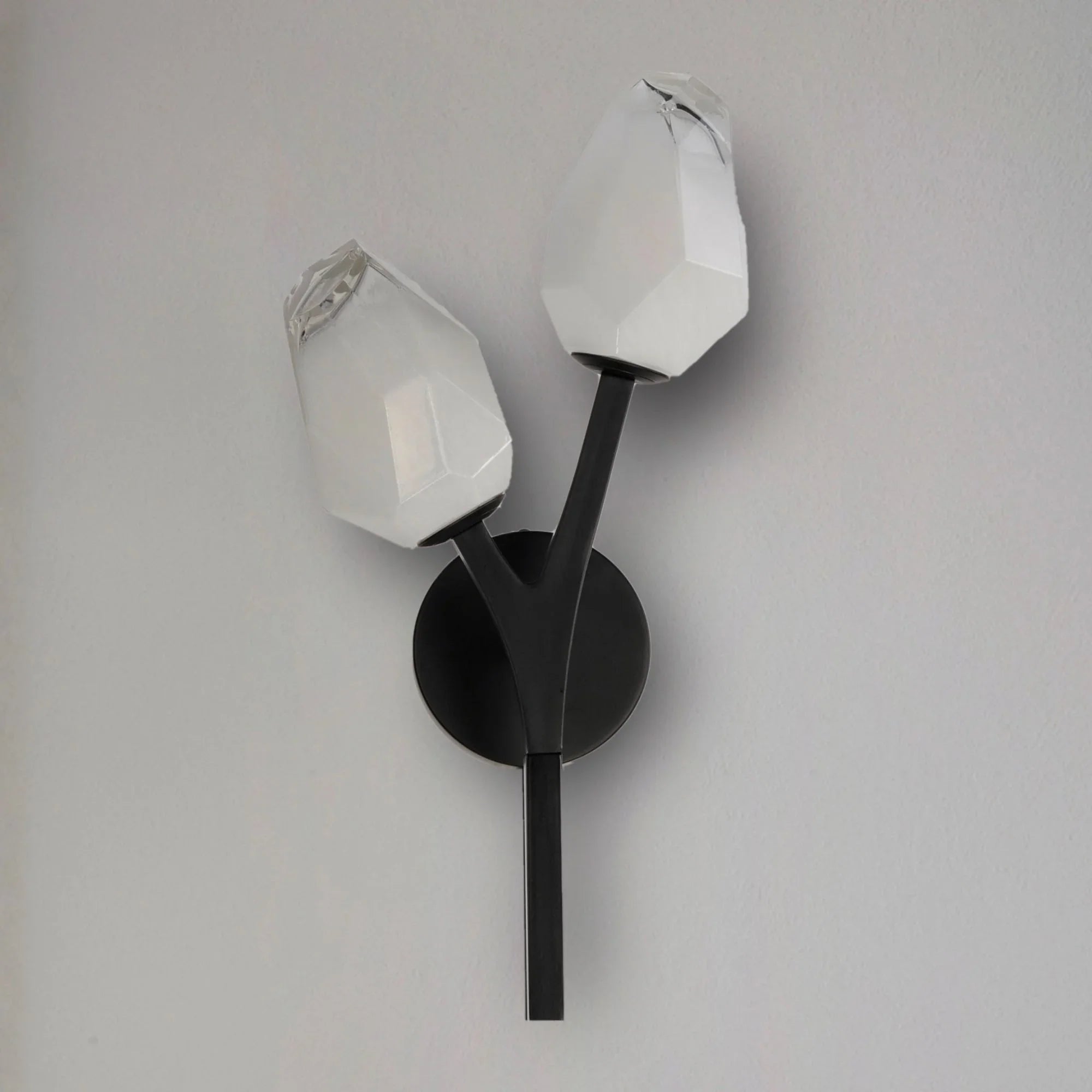 Blossom 19" 2-Light LED Wall Sconce, Black Finish