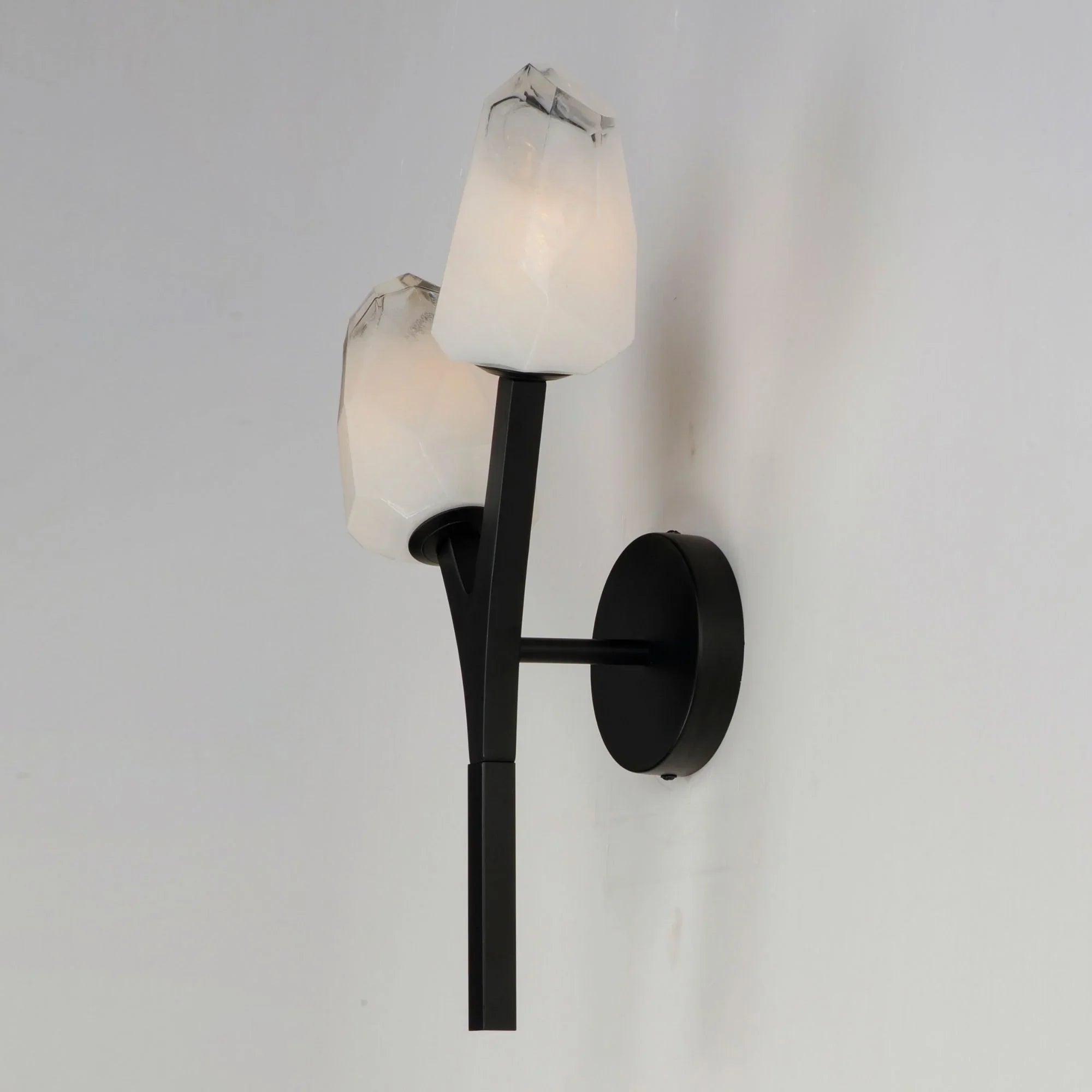 Blossom 19" 2-Light LED Wall Sconce, Black Finish