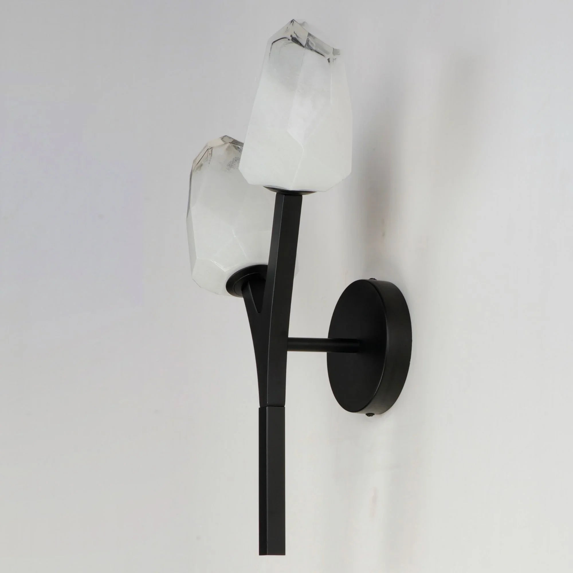 Blossom 19" 2-Light LED Wall Sconce, Black Finish