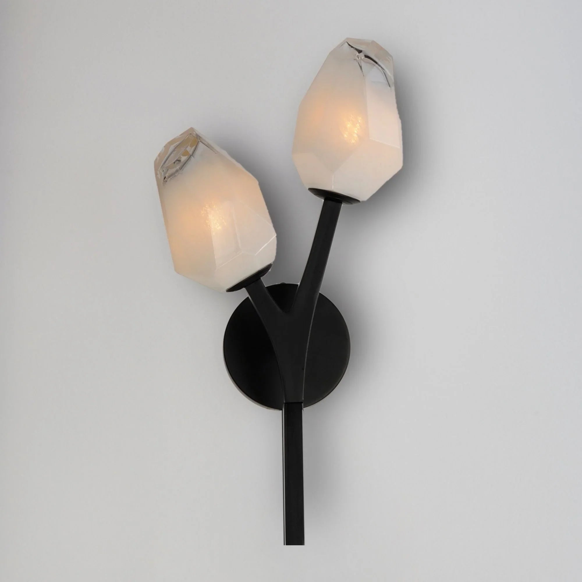 Blossom 19" 2-Light LED Wall Sconce, Black Finish