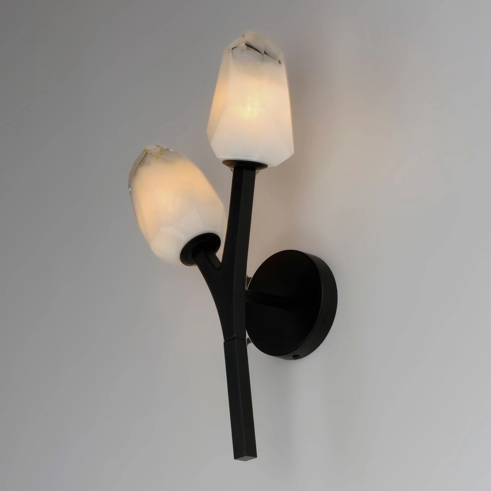 Blossom 19" 2-Light LED Wall Sconce, Black Finish