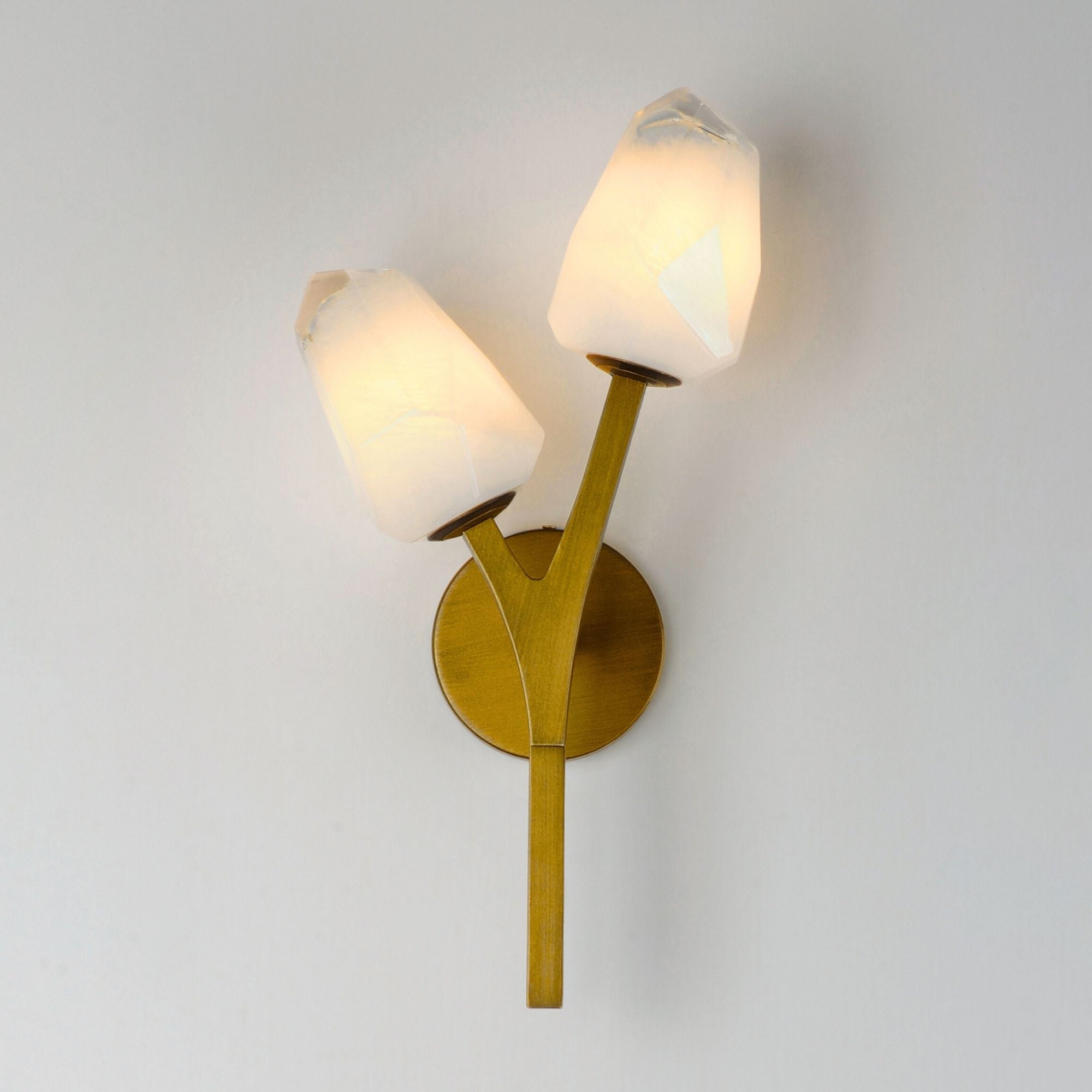 Blossom 19" 2-Light LED Wall Sconce, Natural Aged Brass Finish