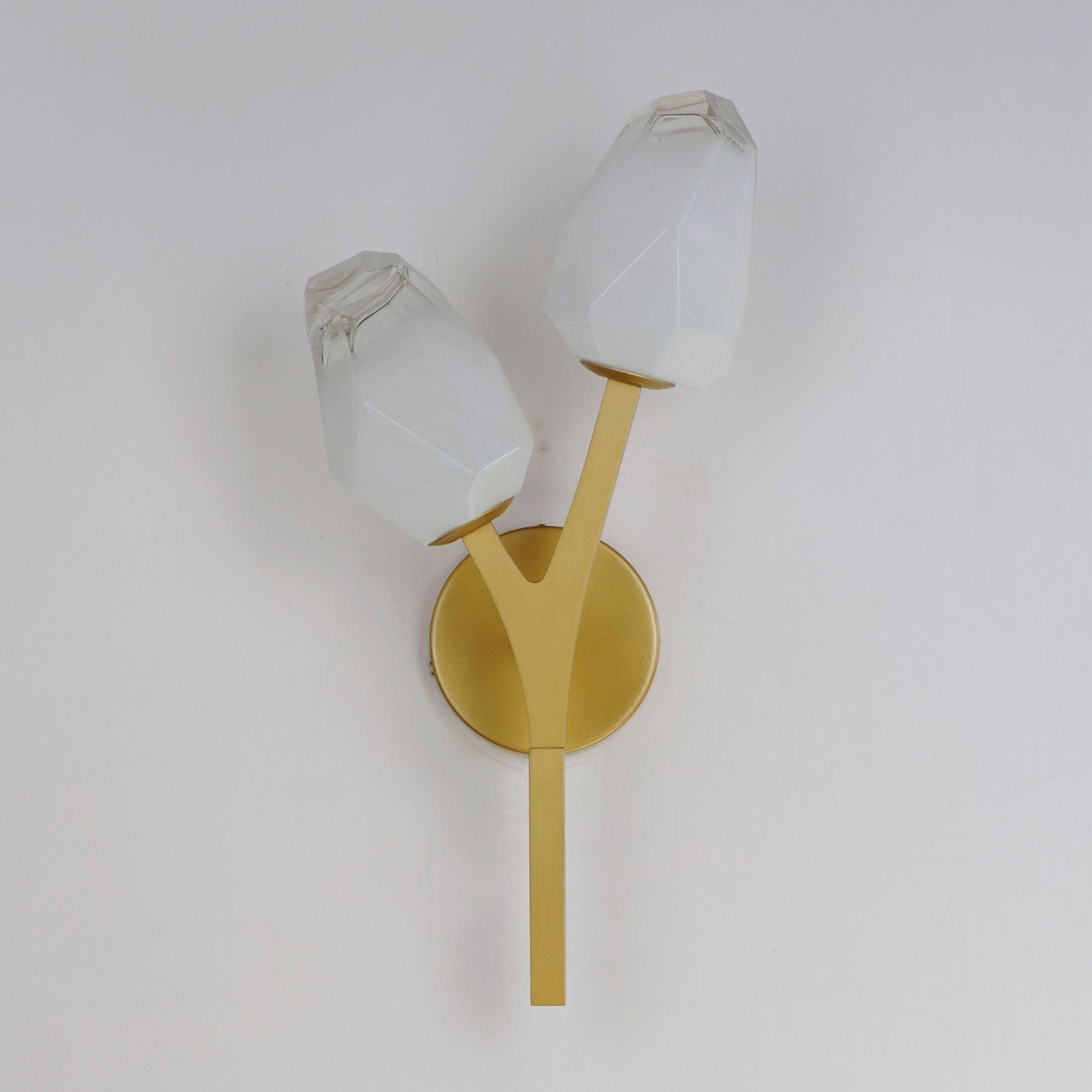 Blossom 19" 2-Light LED Wall Sconce, Natural Aged Brass Finish