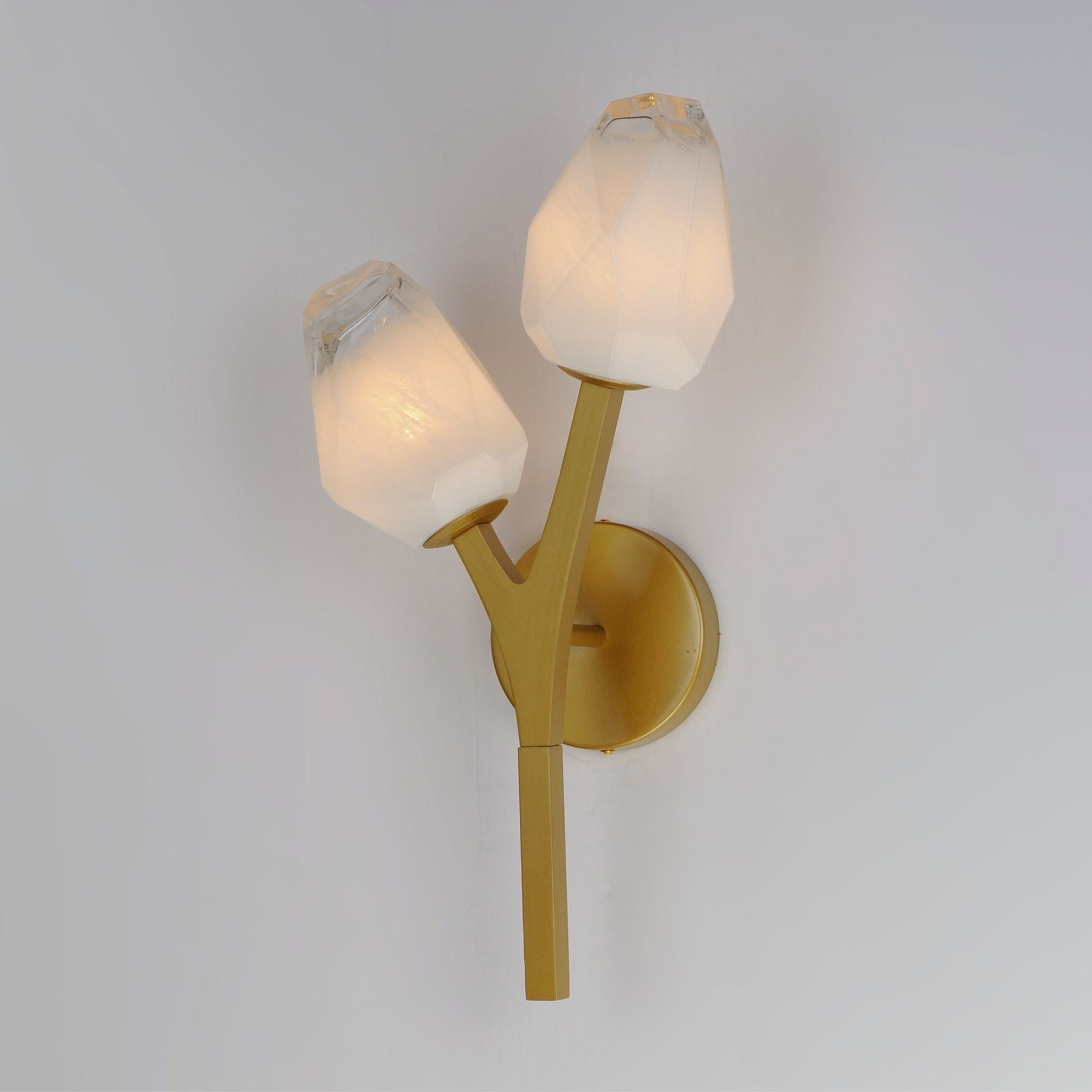 Blossom 19" 2-Light LED Wall Sconce, Natural Aged Brass Finish