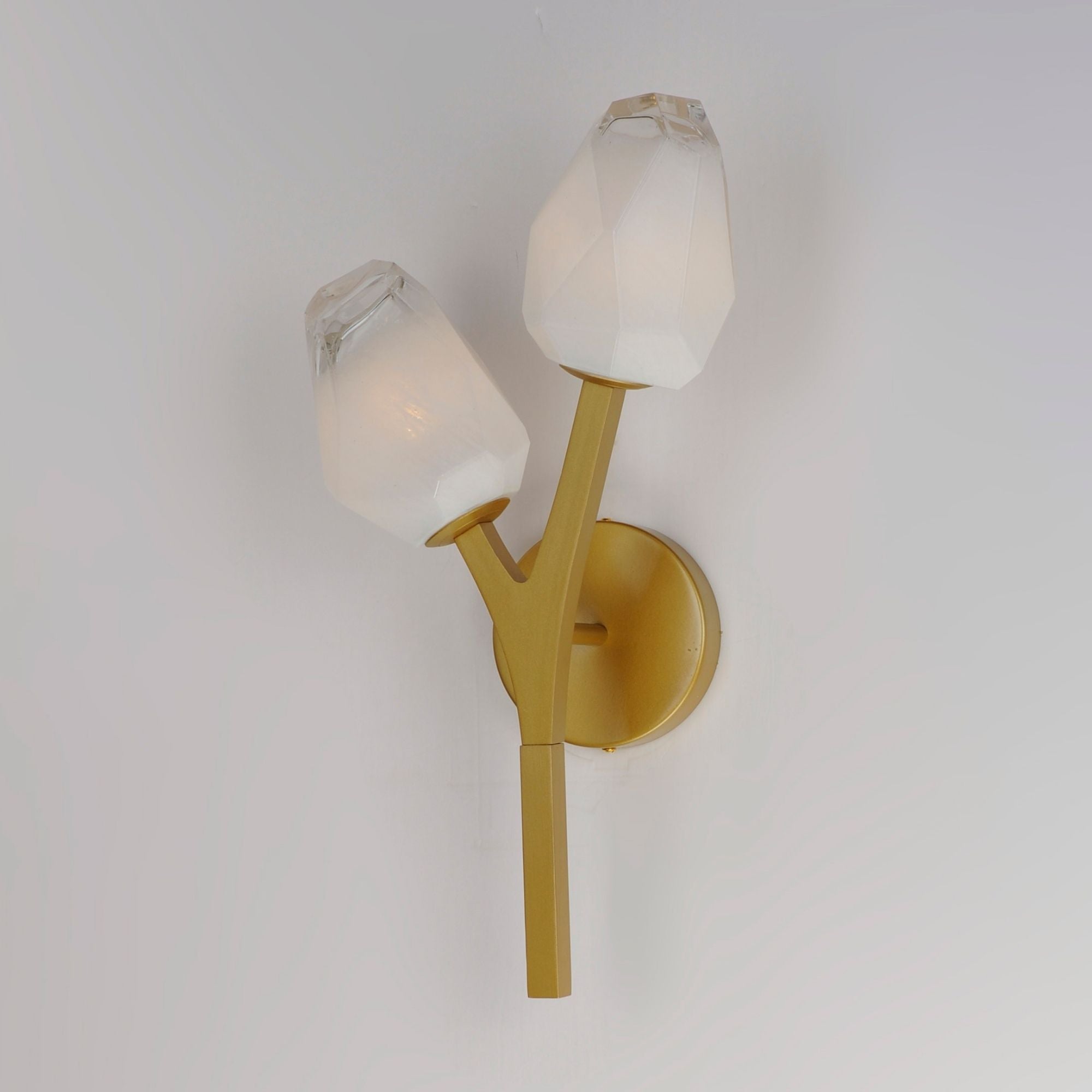 Blossom 19" 2-Light LED Wall Sconce, Natural Aged Brass Finish